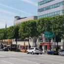 양재대로 이미지