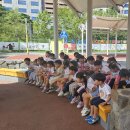 엄지창의어린이집 이미지