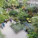 서울식물원 이미지