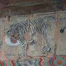 만 마리의 호랑이 이미지