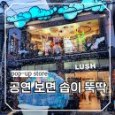 Performance theater(퍼포먼스 시어터) | 서울 뮤지컬 성수팝업 핫플 추천 러쉬 팝업 씨어터 공연 관람 후기