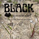 동시마중 레터링 서비스_(((블랙 제188호_staff only 이미지