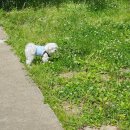 쌍청공원 화장실 | [월간일기] 2024.5월