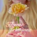 4seasons
