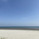 강화 동막해변 애견동반 1박 2일 여행 | 애견동반 카페, 식당, 동막해변 산책