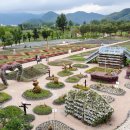 자라섬 관광안내소 이미지