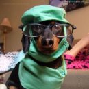 조은 느낌 이미지