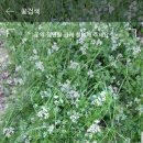 88세탁소 이미지