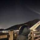송유향 네이버블로그
