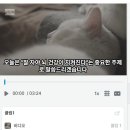 업로드에 실패했습니다. 파일당 20MB까지 업로드할 수 있습니다