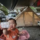 남면오일시장 | 추석연휴 캠핑, 9개월 아기와 함께 한 몽산포 오션캠핑장 후기 (24.09.13~09.16) / 몽산포항 수산시장