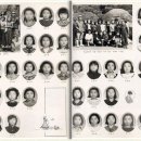 청호초등학교 이미지