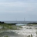 월정뷰게스트하우스코난비치대여점 이미지