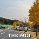 유산마을진입로 이미지