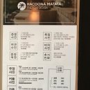 하쿠나마타타헤어 이미지