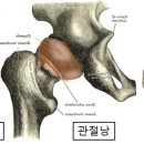 24시 봉담동물의료센터 이미지