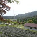 [전남 담양]추성리 자연두메마을~보리암 정상(692m)~추월산(731m)~물통골3거리~물통골입구~자연두메마을 회귀하기(2016/5/7/토 오후) 이미지