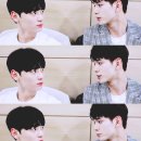 여우와늑대 이미지