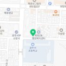 잉글리시버디화정서초