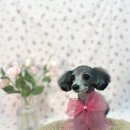 멍멍아 미용하러 가자 이미지