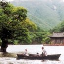 1619 Daum카페