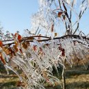 송암리 농장 이미지