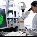 대륙세탁 이미지