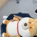 뷰티앤영의원 이미지