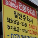 송이정육-2호
