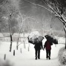 포토갤러리 이미지