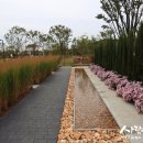 조경디자인린주