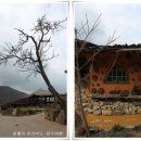 [전북여행]죽기전에 꼭 한번 살아보고싶은 논개생가 가있는 주촌민속마을 풍경 이미지