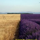 아름다운 인생이야기 이미지