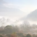 비밀의 정원 이미지