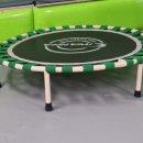 경희대무궁화태권도장 이미지