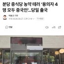 중국인 4명, 무비자로 입국해 한국식당 테러하고 당일출국 이미지