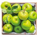 핏앤컨트롤 이미지