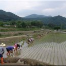 고향산촌 이미지