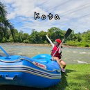 엘프세탁 | 말레이시아 코타키나발루 자유 여행 비용 가족 숙소 3박 5일 코스 후기