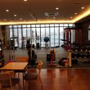 아놀드홍짐 이미지