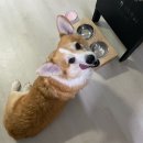 변*일