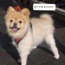 24시 잠실온 동물병원 이미지