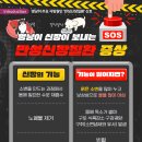 더힐동물병원 이미지