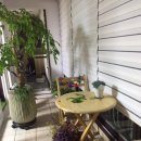 완산-48 이미지