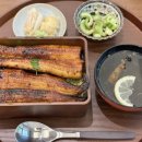 우나기모토 티스토리