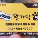 왈가닥펫 이미지