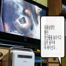 은비농장 이미지