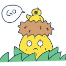 카페376