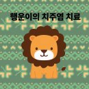 센트럴 동물메디컬센터 | 행운이의 치주염 치료 후기 전주센트럴동물메디컬센터