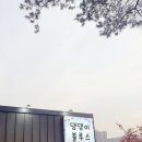 댕댕이블루스 이미지